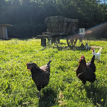 Feriehus Au Ptit Bonheur De La Semoy Les Hautes-Rivieres