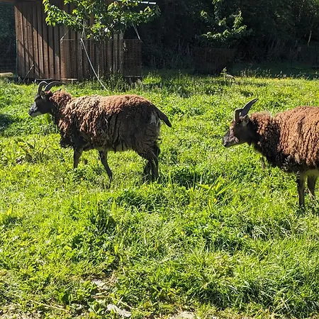 Au Ptit Bonheur De La Semoy *